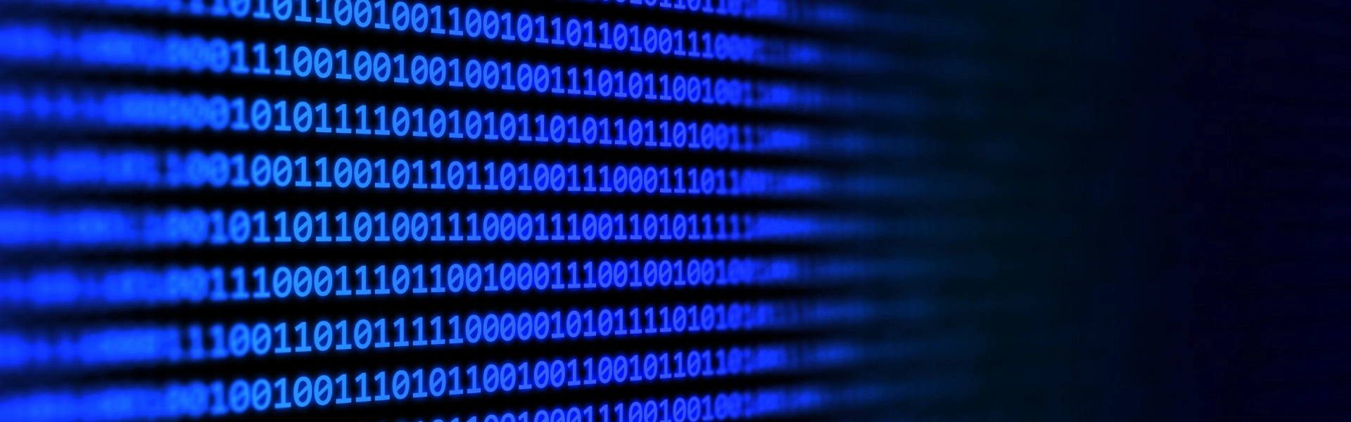 Proyecto Pyrnet